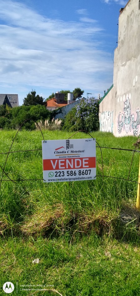 Venta Terreno 390 m² Sobre Av: Inversion: Construccion Locales o Viviendas