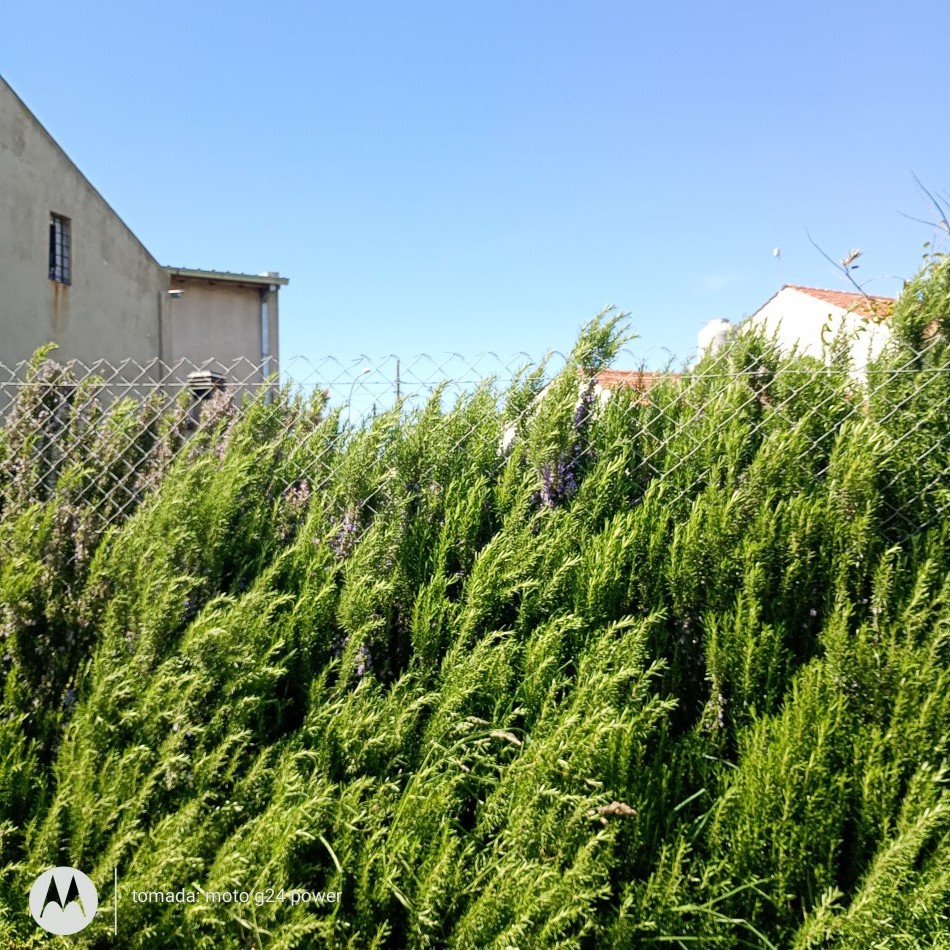 VENTA TERRENO EN EL FARO A CUADRA DEL MAR SOBRE DIAGONAL V.SARSFIELD